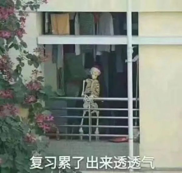 手机推荐求助 1