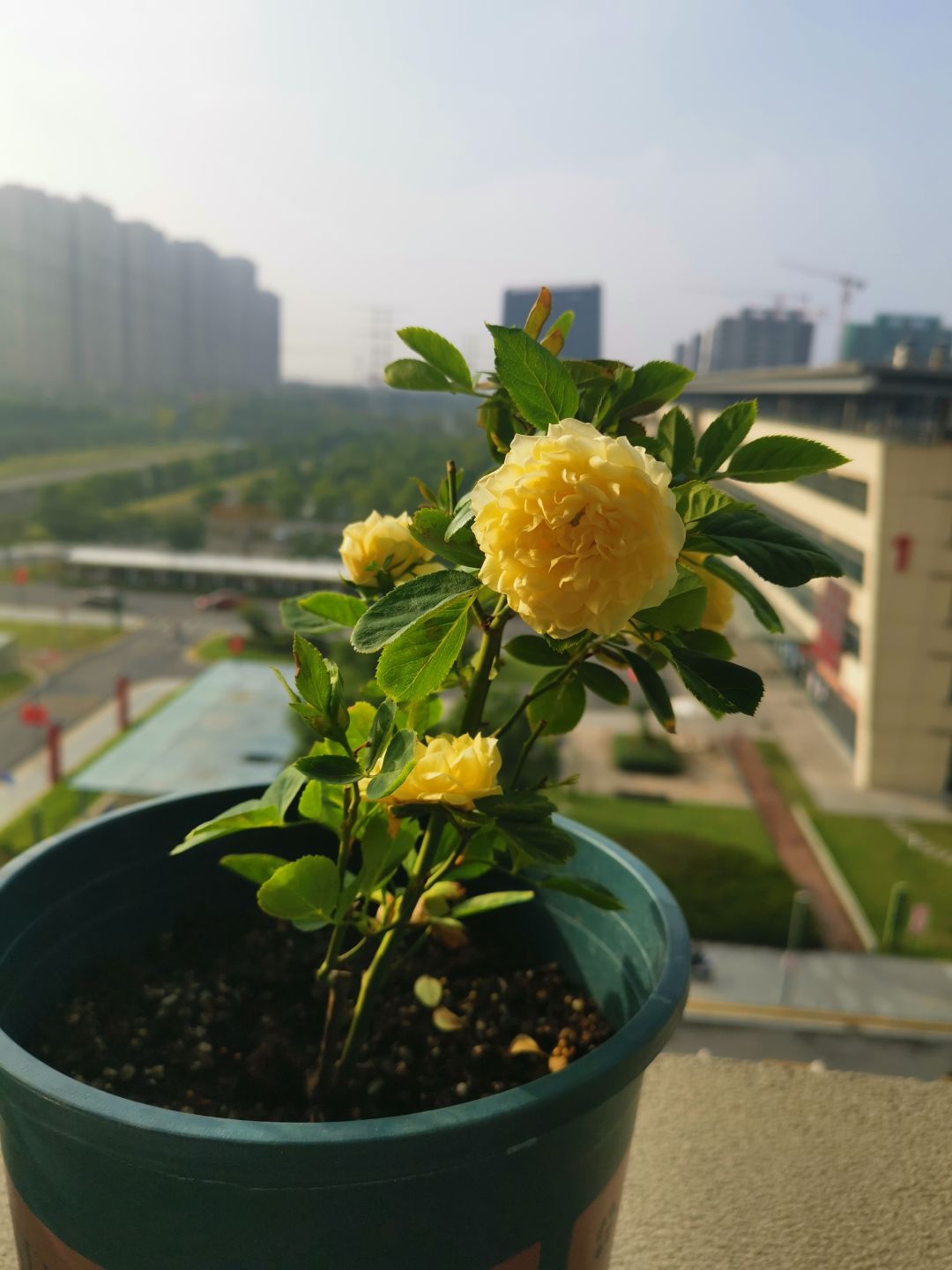 动态图片 3