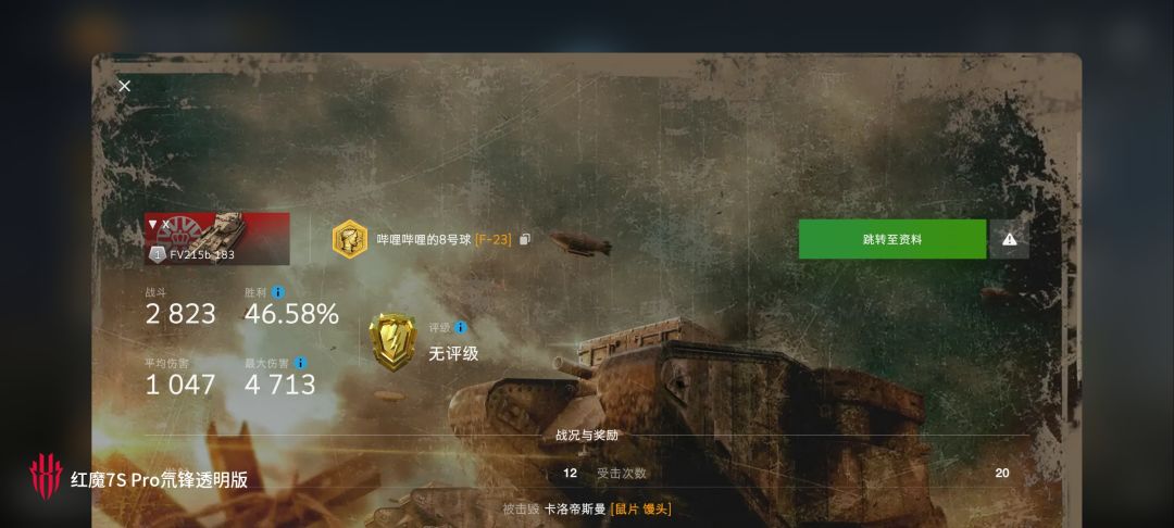 动态图片 13