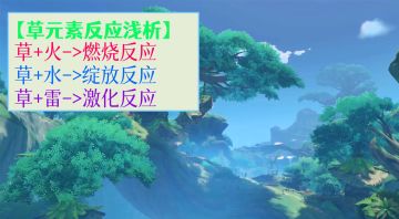 原神须弥前瞻解析——草元素相关反应的全面分析