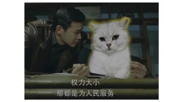 ★萌新法宝攻略★