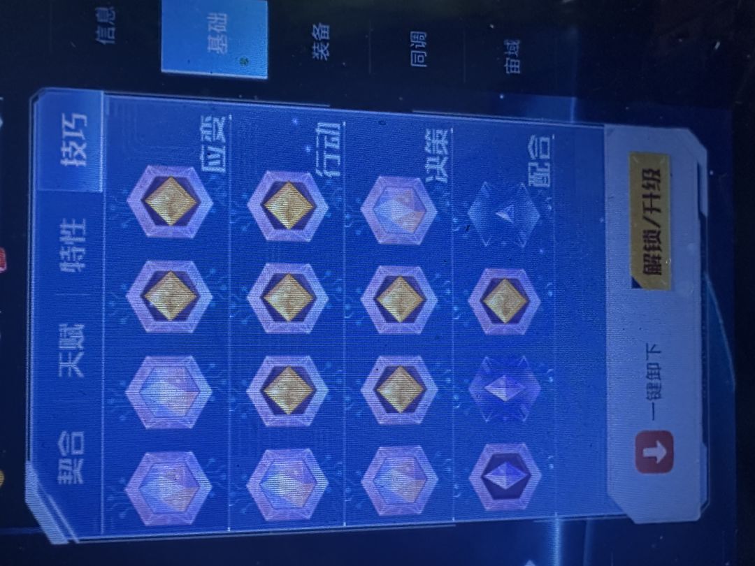 这个应变决策行动配合是什么意思 1