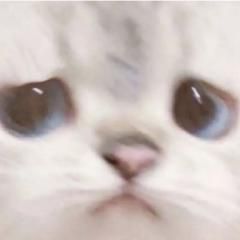 我来吐槽了 1