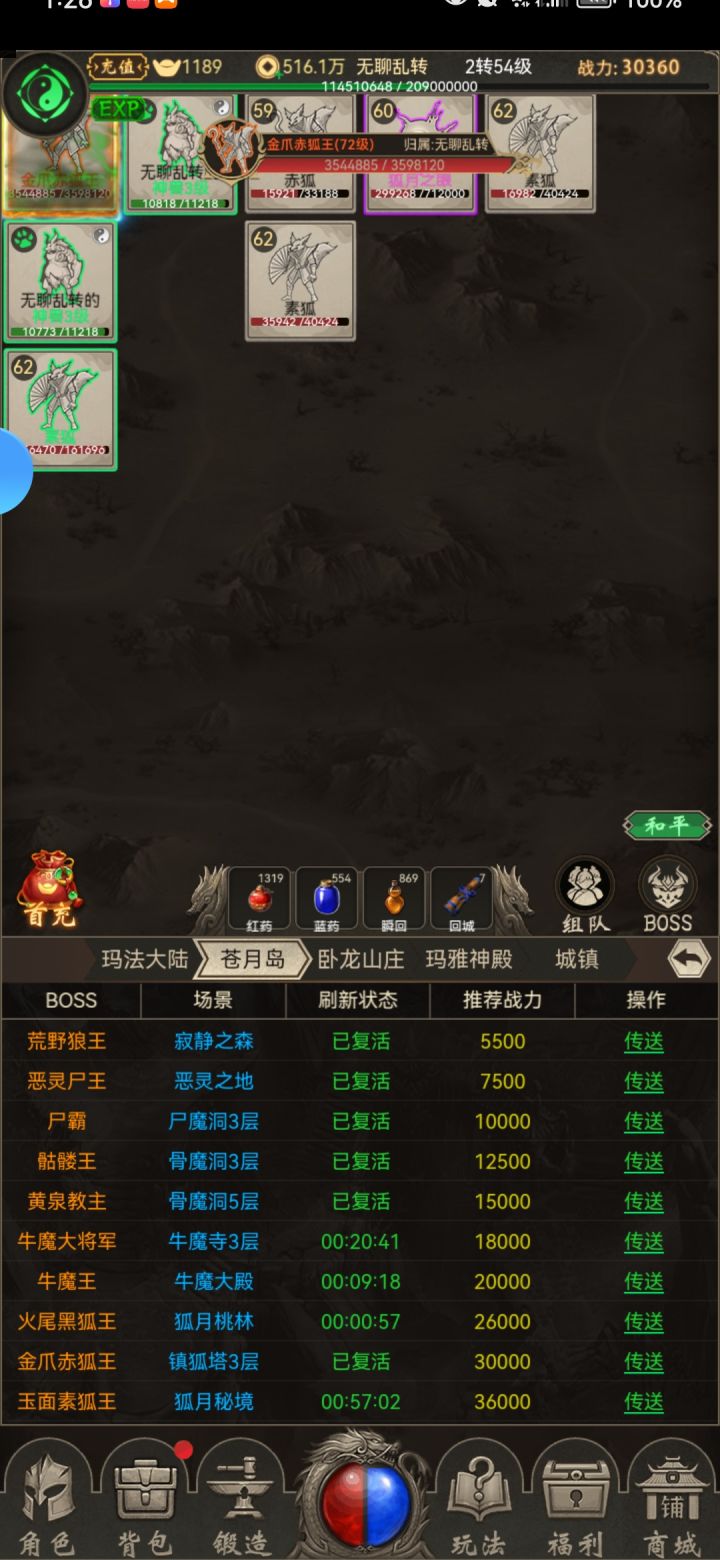 年度报告截图