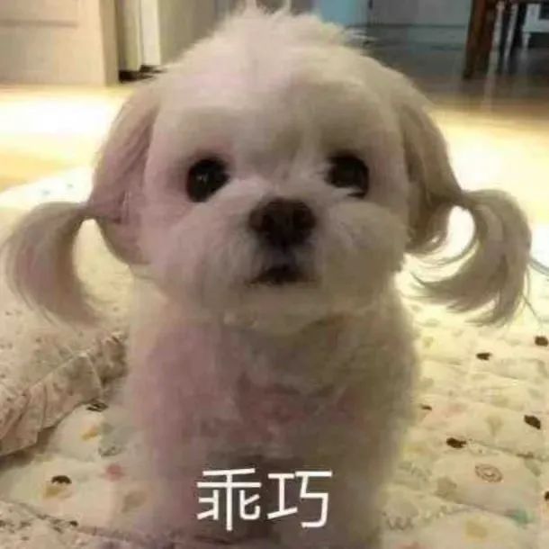 云端服务器暂时接不上了(哭)截图