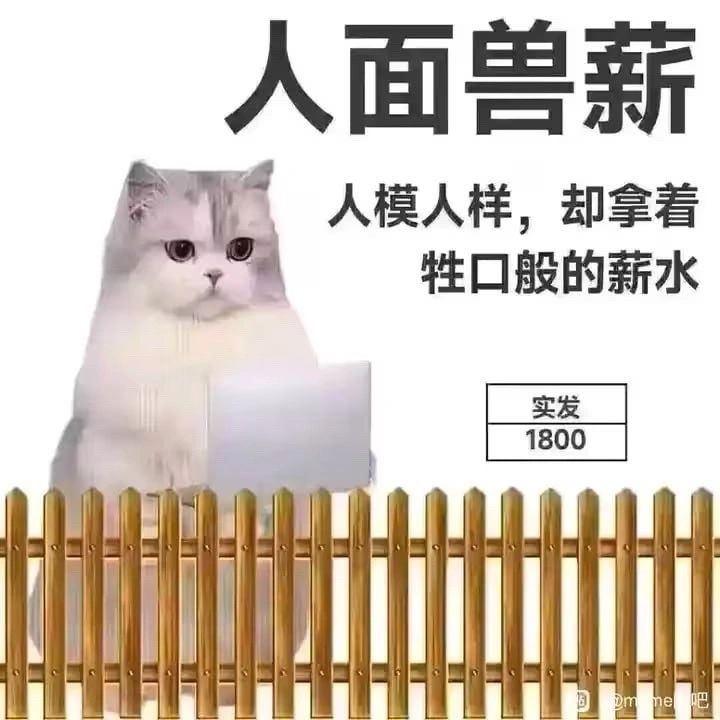 逆天了这都砍啊截图