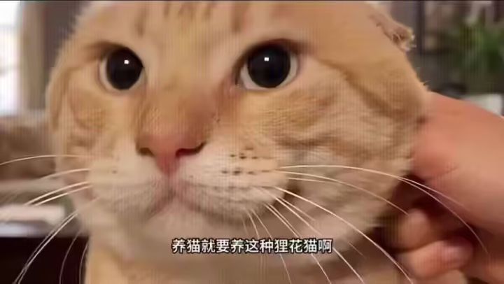 引力波一点用都没有截图