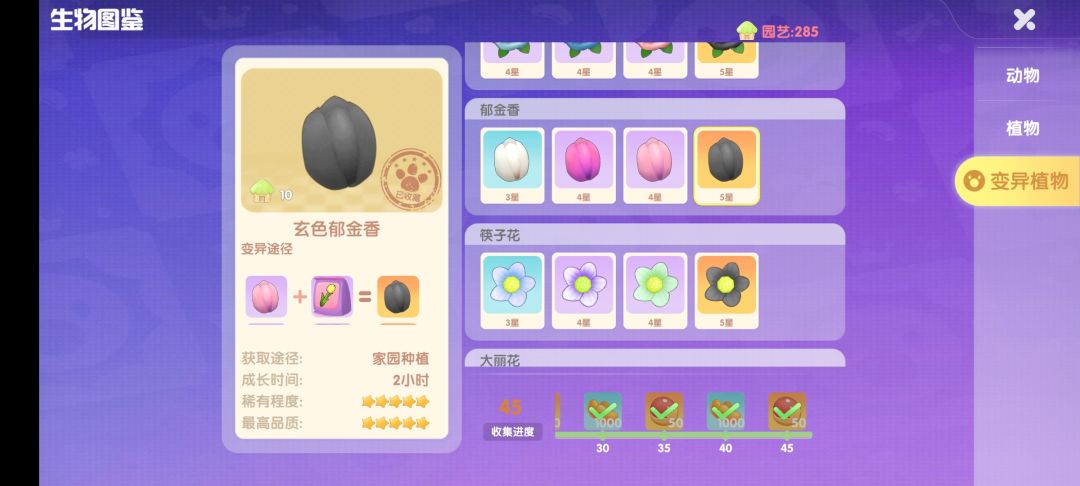 用2天200变异了12个黑色郁金香,翻倍后26个 2
