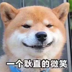 宠物9代之后还有必要功德三岛吗? 1