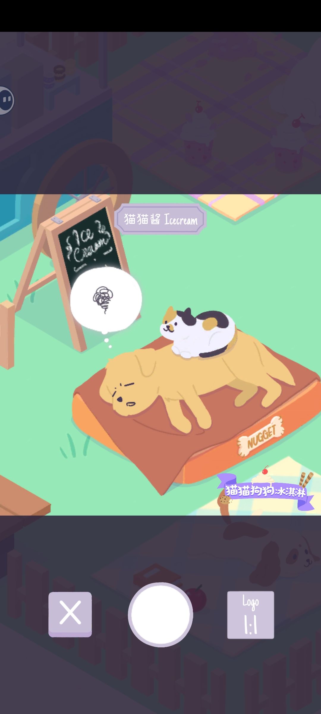 发帖领猫猫大礼包 2
