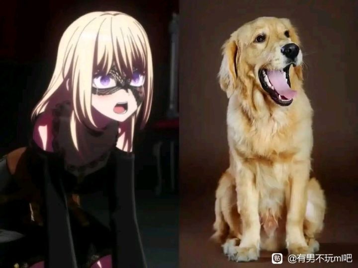 不是哥们这对吗截图