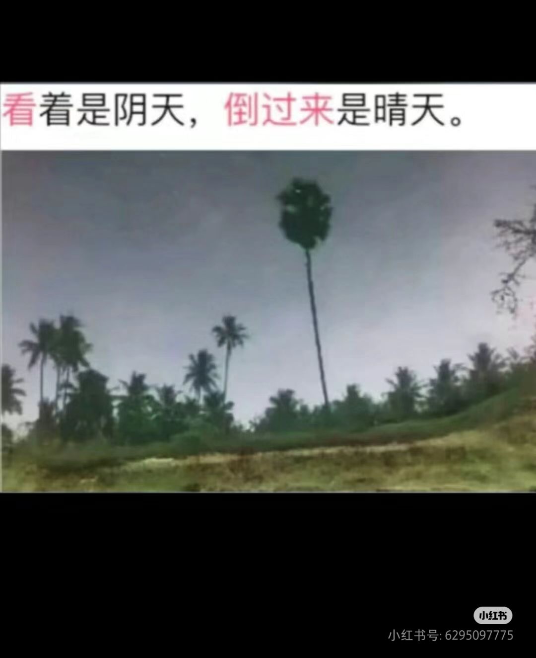 搞笑日常 2