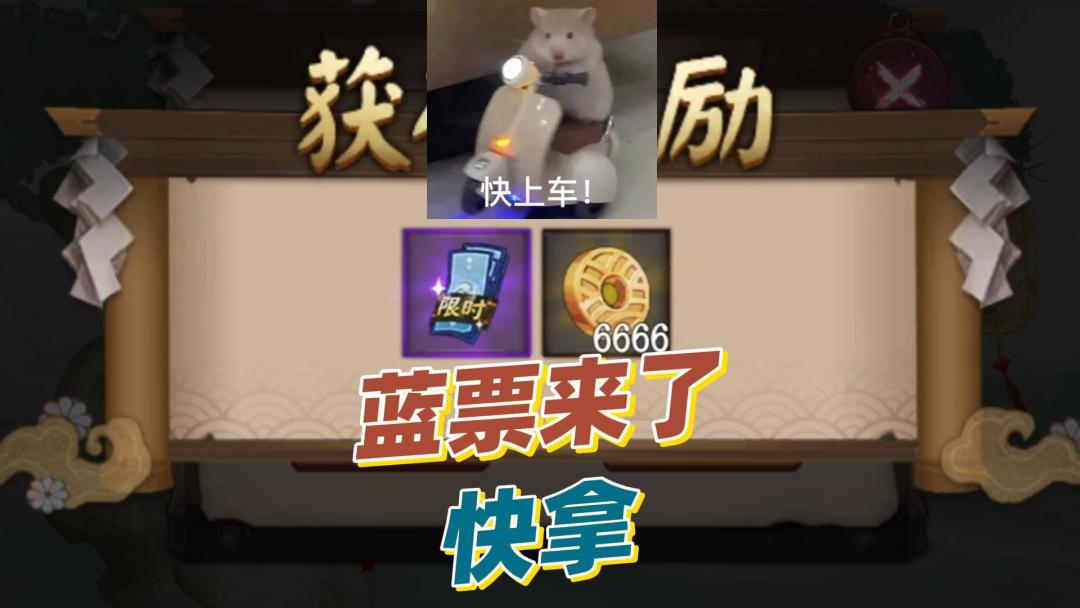 video-5686441