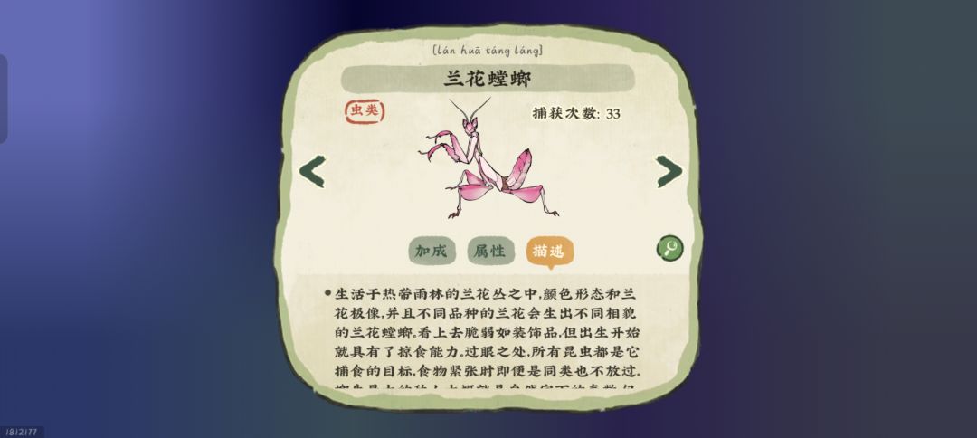 蛐蛐,你竟比愚钝老师还稀有吗! 3