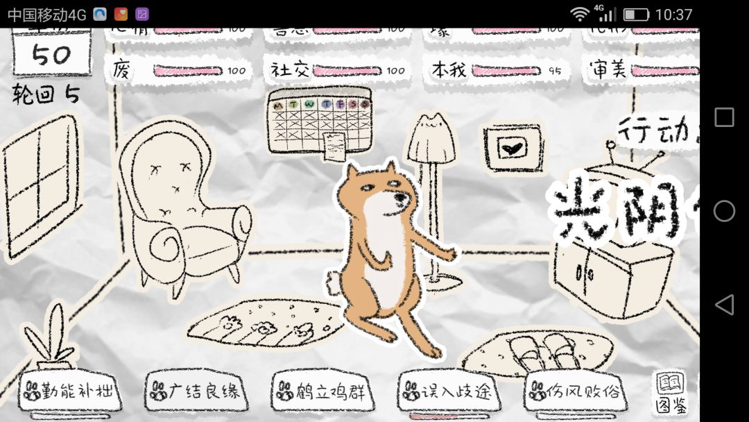 动态图片 4