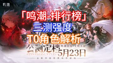 【鸣潮】开服倒计时！T0配队新萌提前看看~别养错啦！