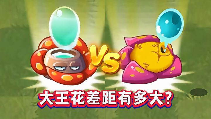 同样是大王花，1-4阶对比，差距到底有多大？截图