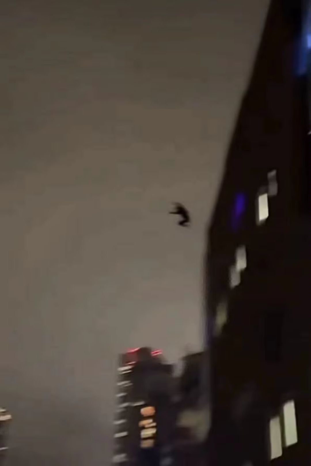大佬们,俺怎么样 1