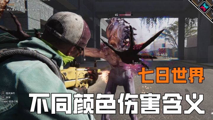 30秒带你看懂,七日世界不同颜色的伤害区别截图