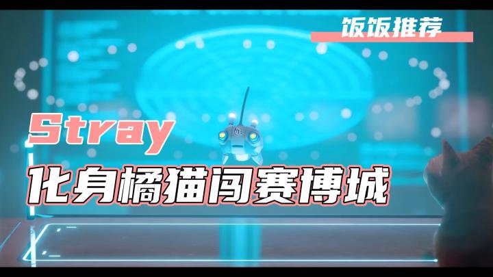 《Stray》让你体验喵式冒险,用猫爪改写末日未来截图