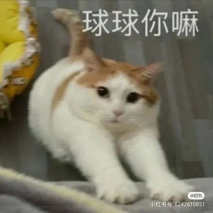 大佬帮忙看看截图