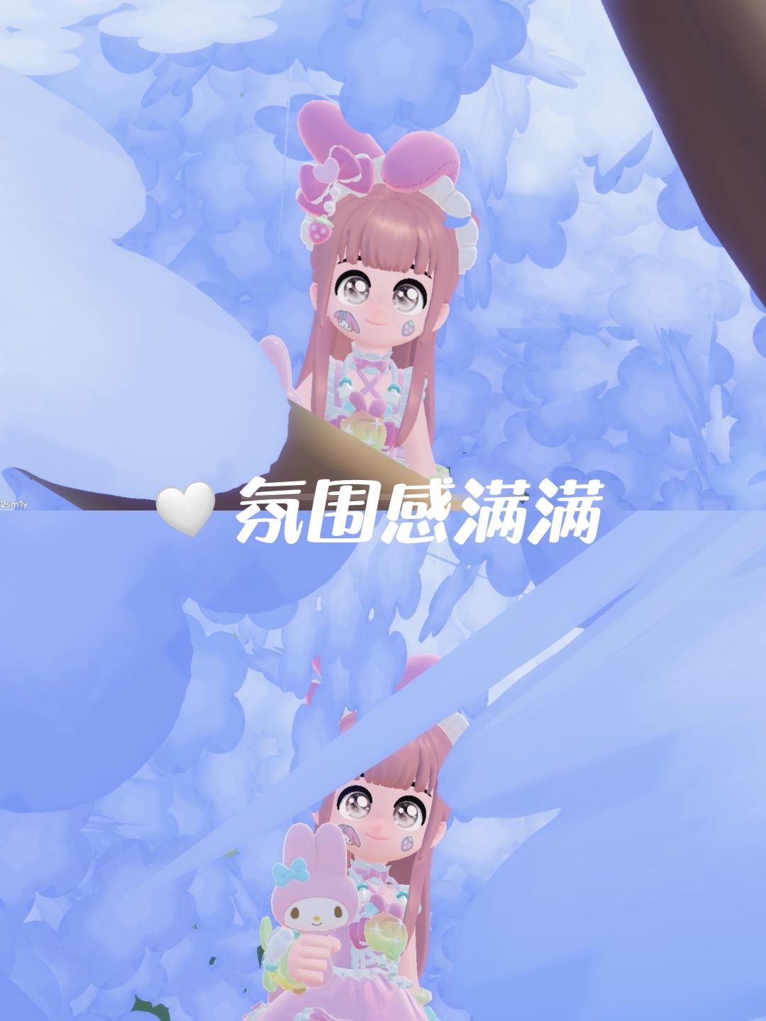 藏在心动小镇的蓝色花田🌿 2