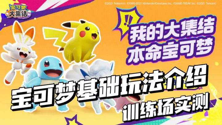 【宝可梦大集结】新手训练场实机评测截图