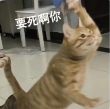 2026年怎么还有游戏在搞文字游戏啊截图