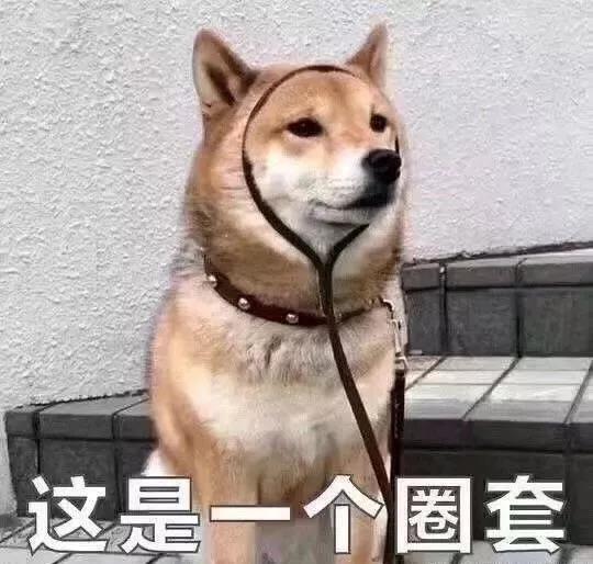 「新版本」预览 1
