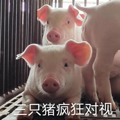 功德14→拿捏 3