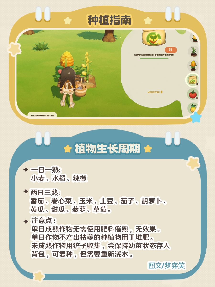 【星布谷地种植指南】从零种出果王 4