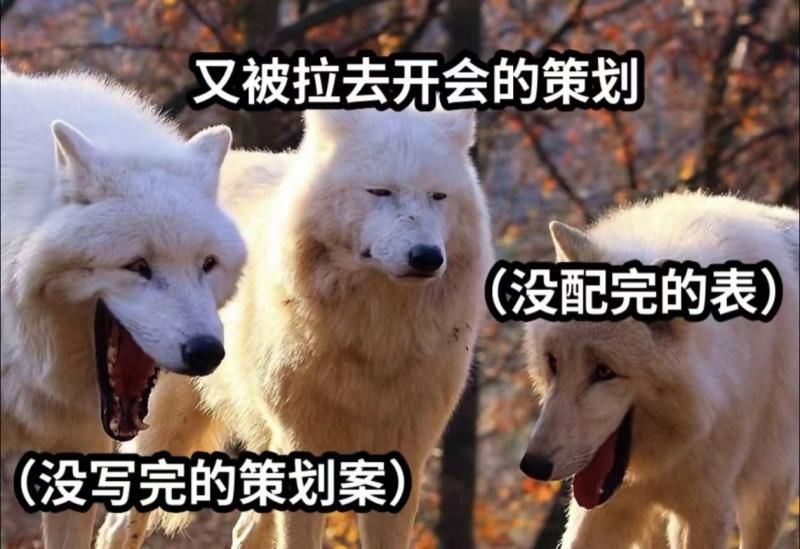清华独游开发|我们终于有可以玩的白模了! 3