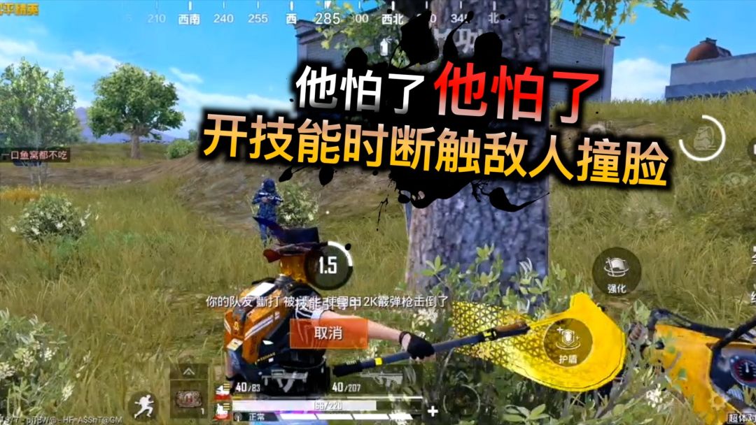 video-3859303