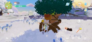 12月25号橡木萤石位置