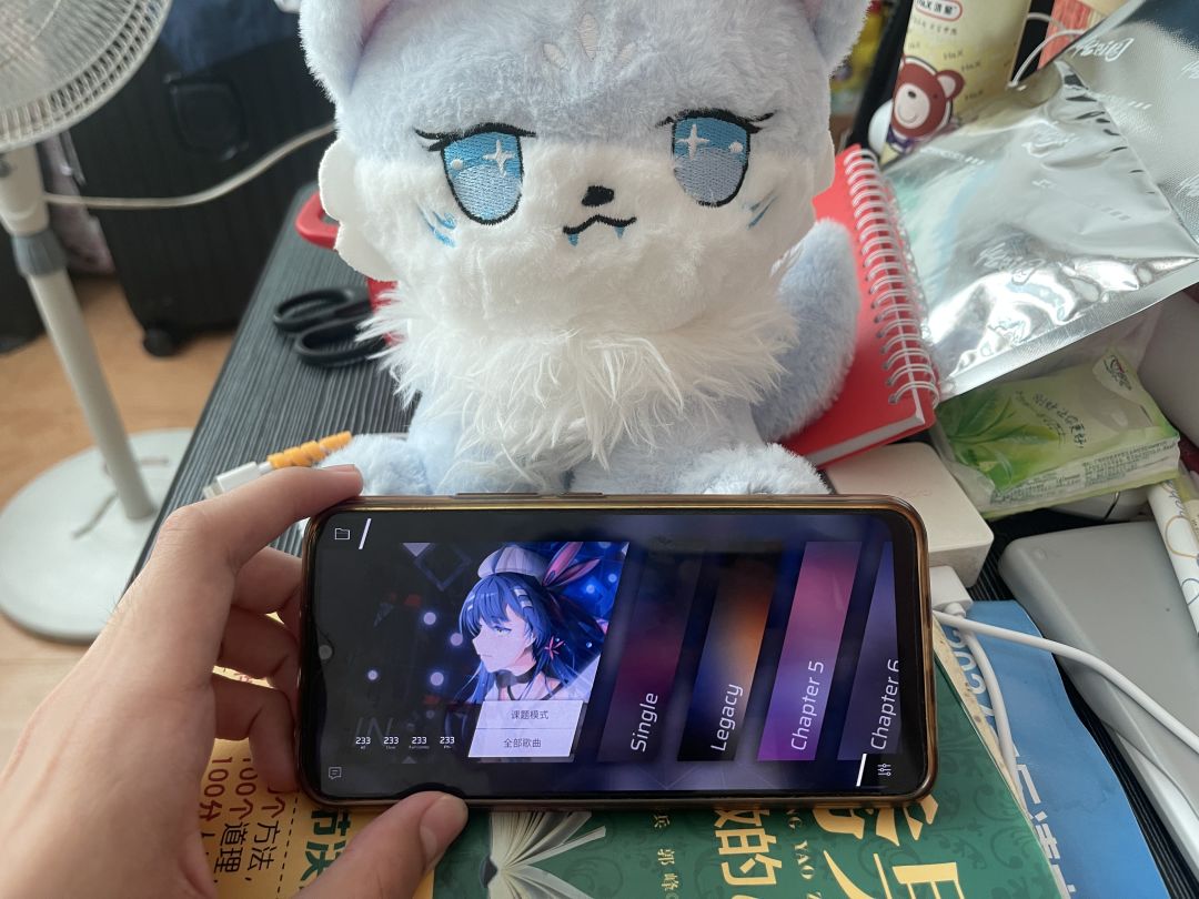 IN难度已全曲制霸 1