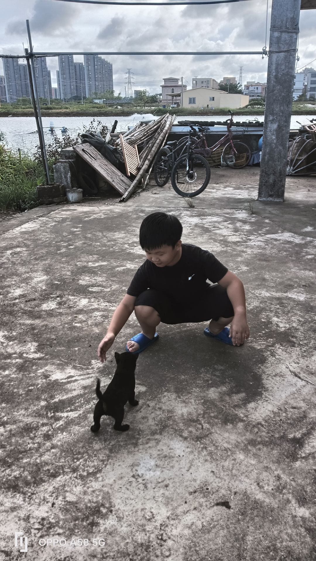 动态图片 12