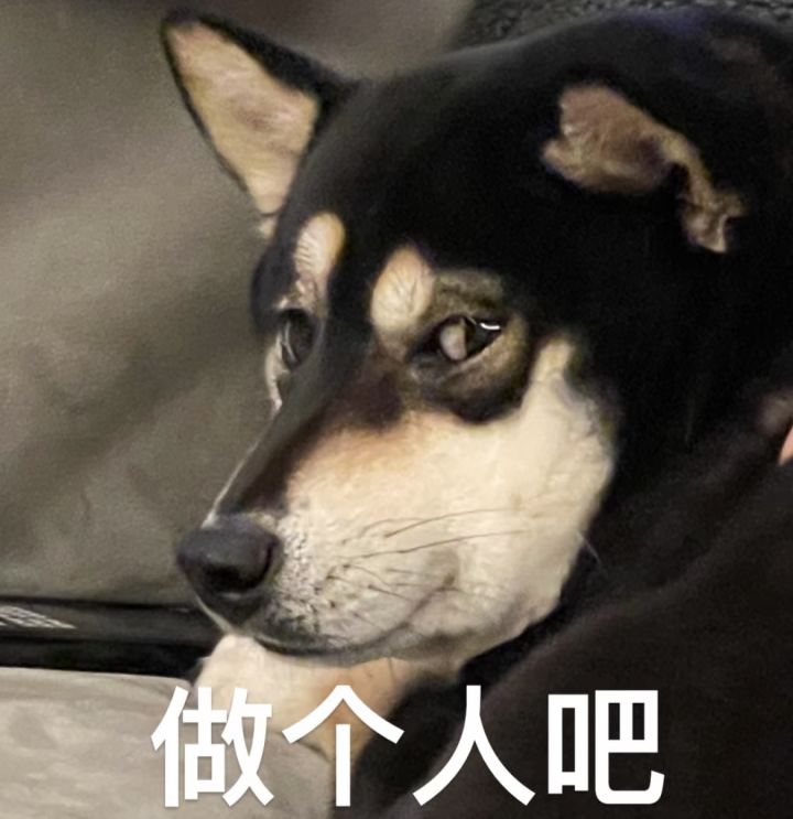 做个人吧!连歪2次截图