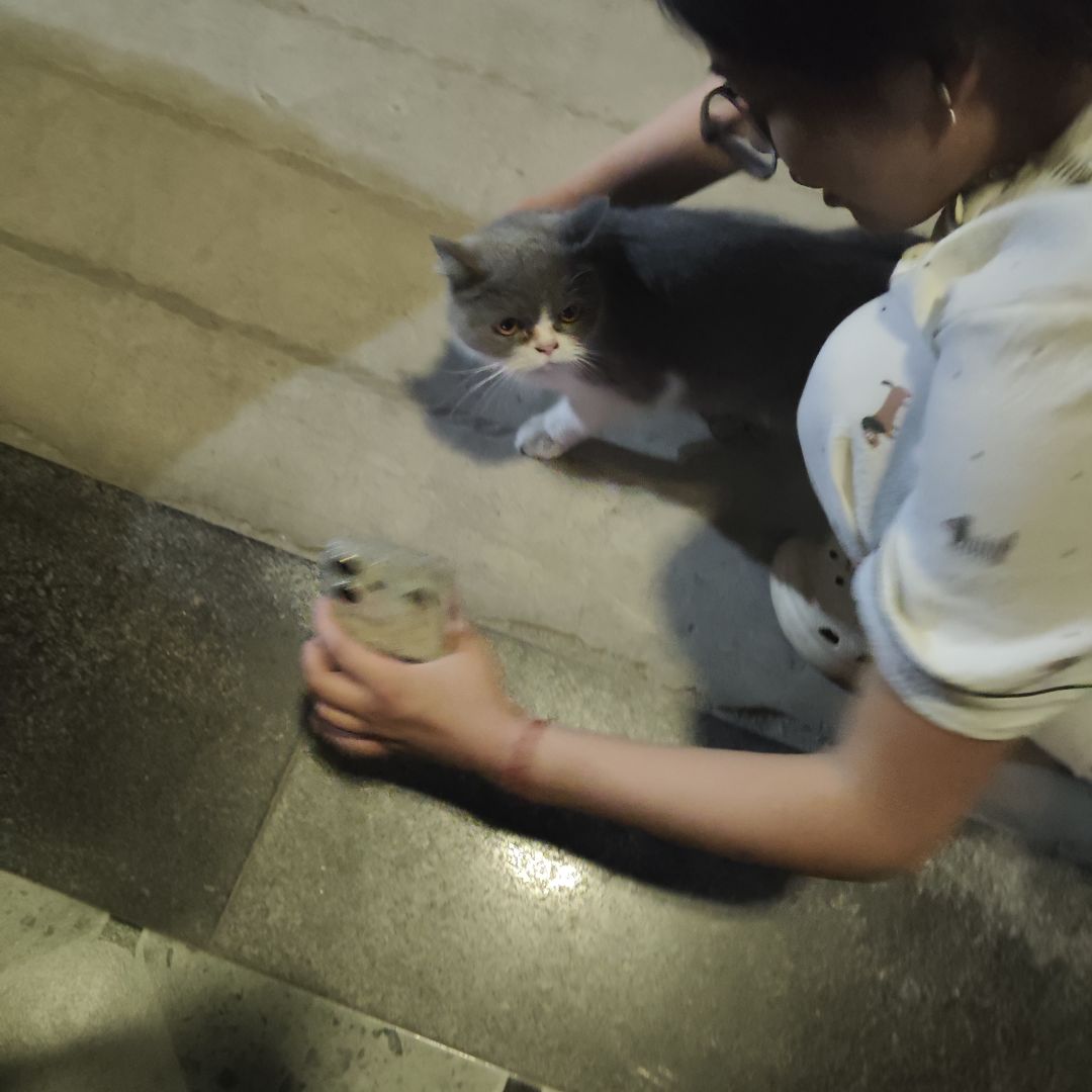 动态图片 10