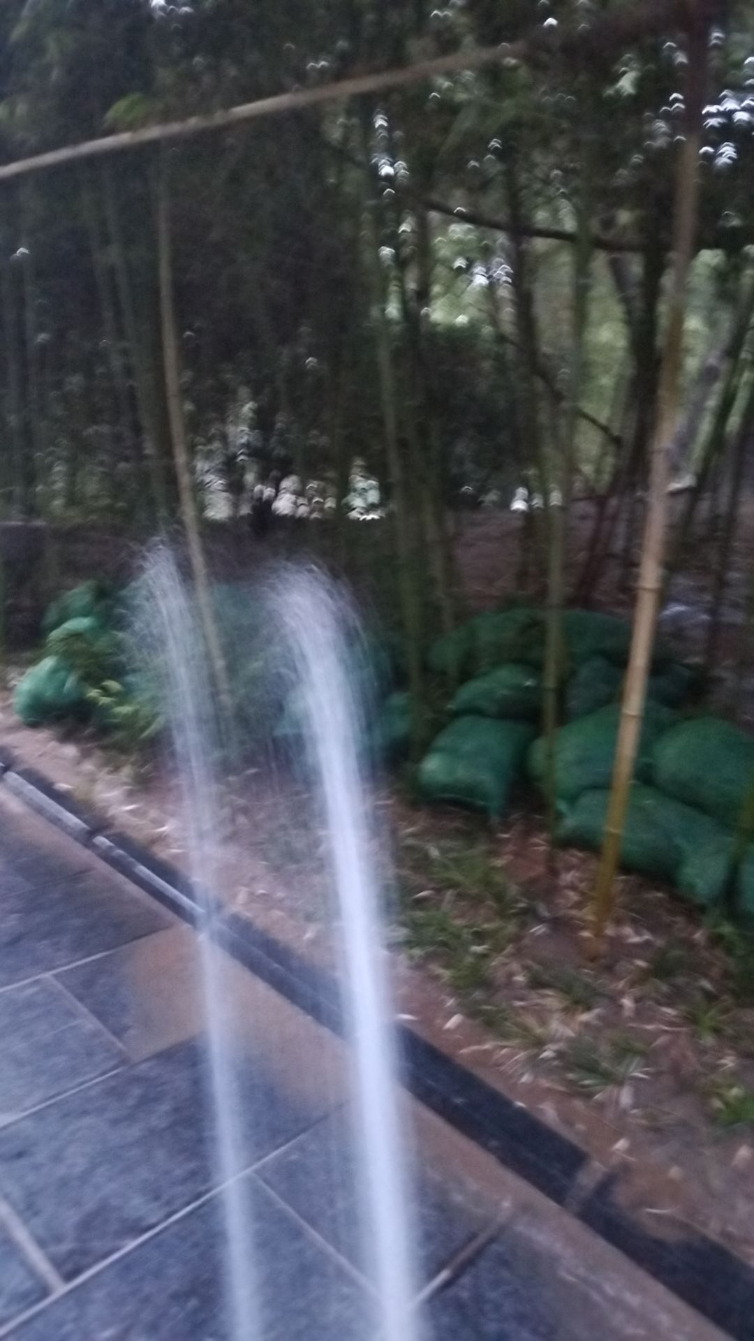 动态图片 9