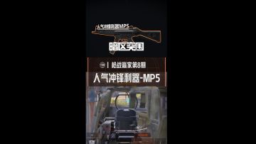 平民冲脸利器，MP5冲锋枪