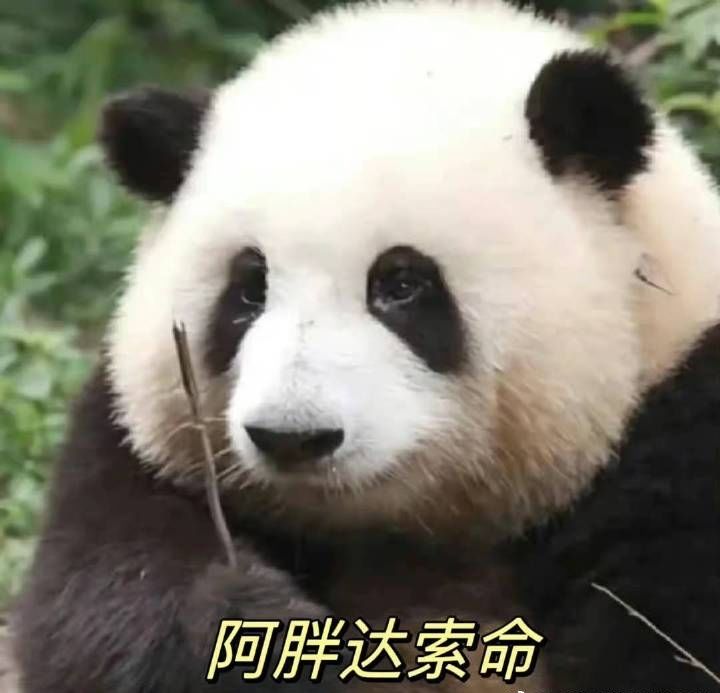 诸界归一剧情有推荐阅读顺序吗 1