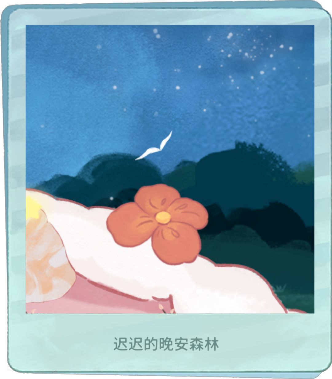 小动物赏 7