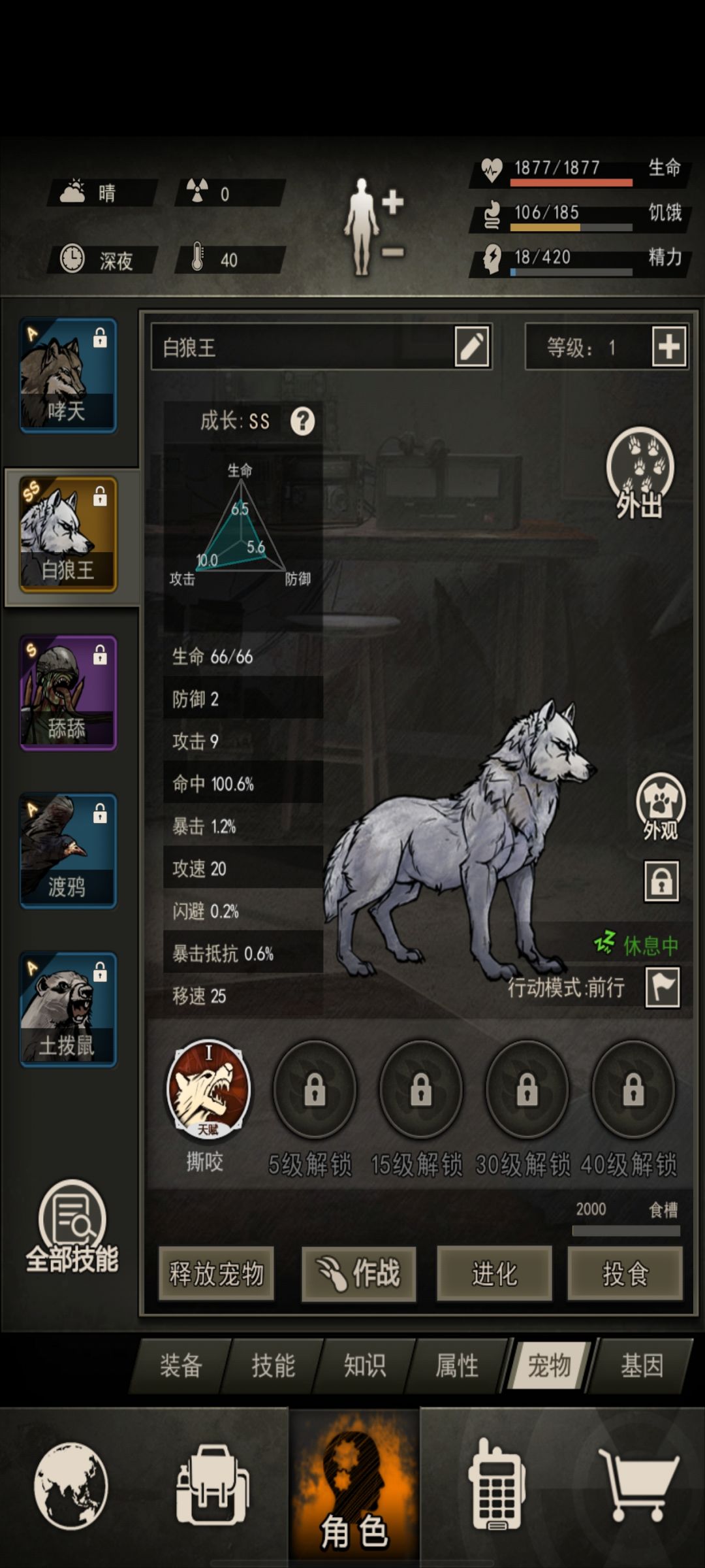 宠物礼盒后续 2