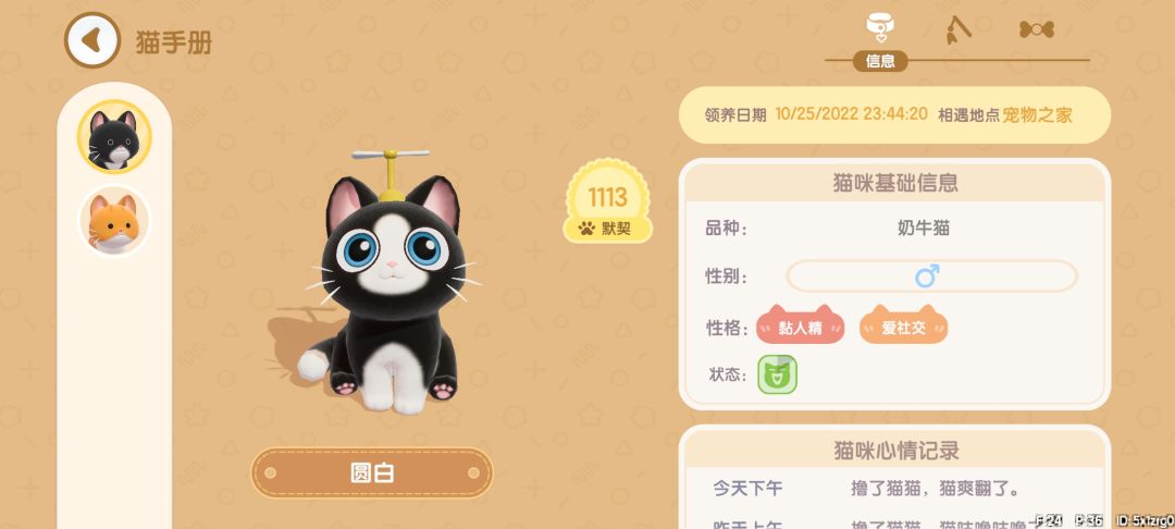 动态图片 4