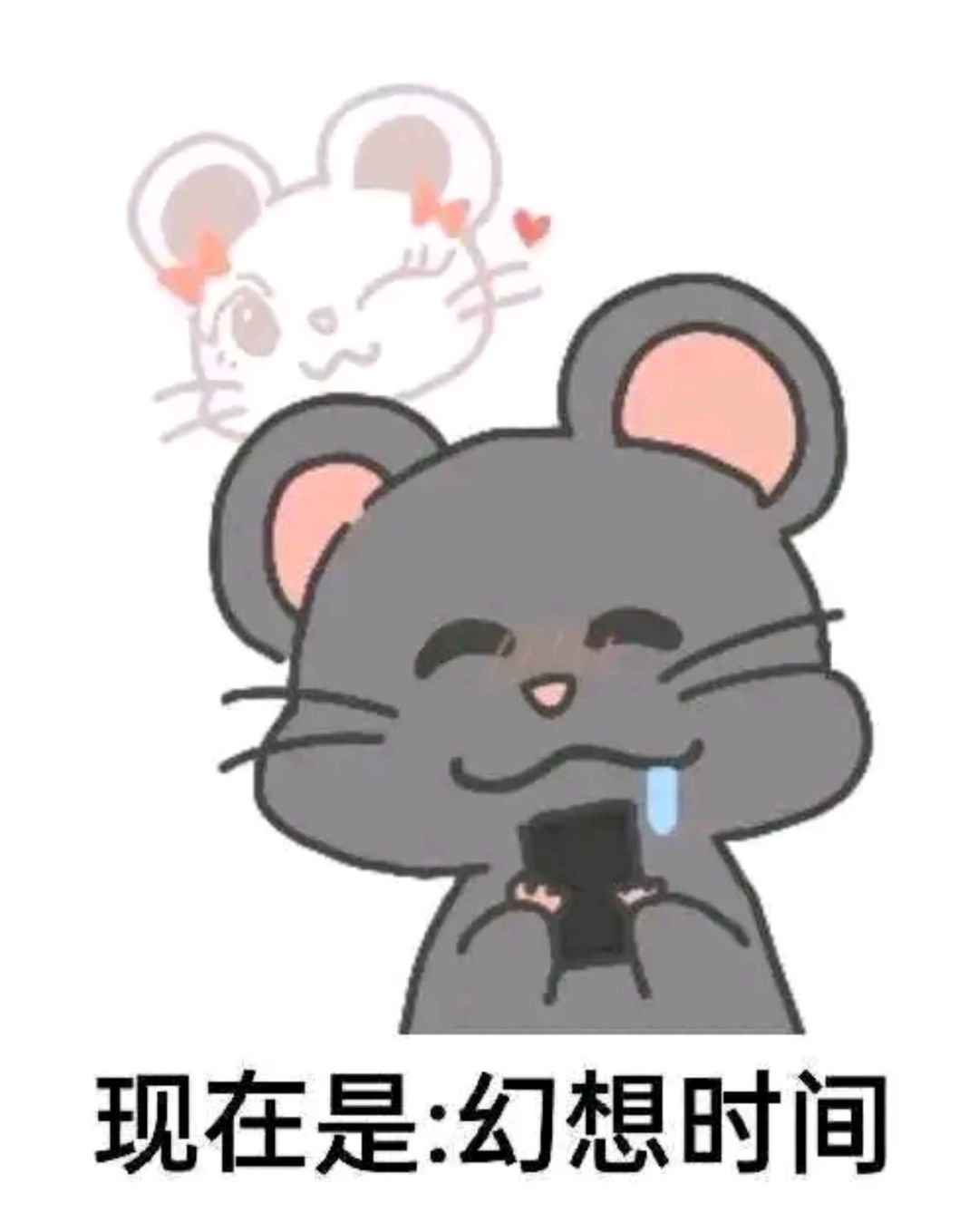 有没有艾尔琪皮肤的消息 2