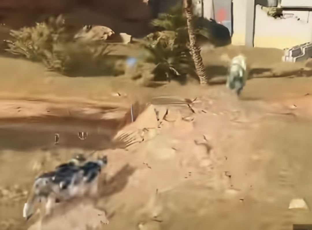 理性讨论 1