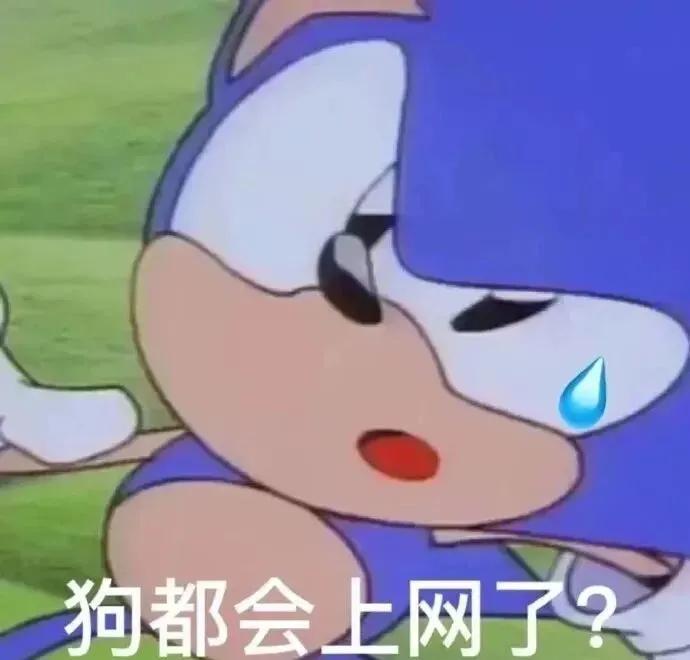 “评论区有狗咬人” “哇塞 你说的是谁” 1