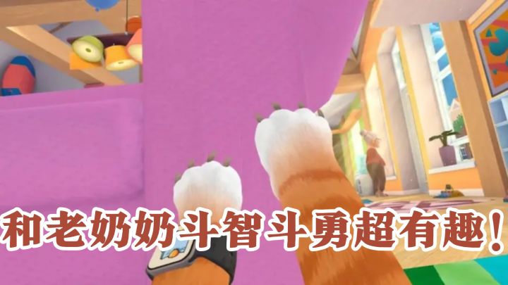 当只搞怪猫,和老奶奶斗智斗勇超有趣!截图