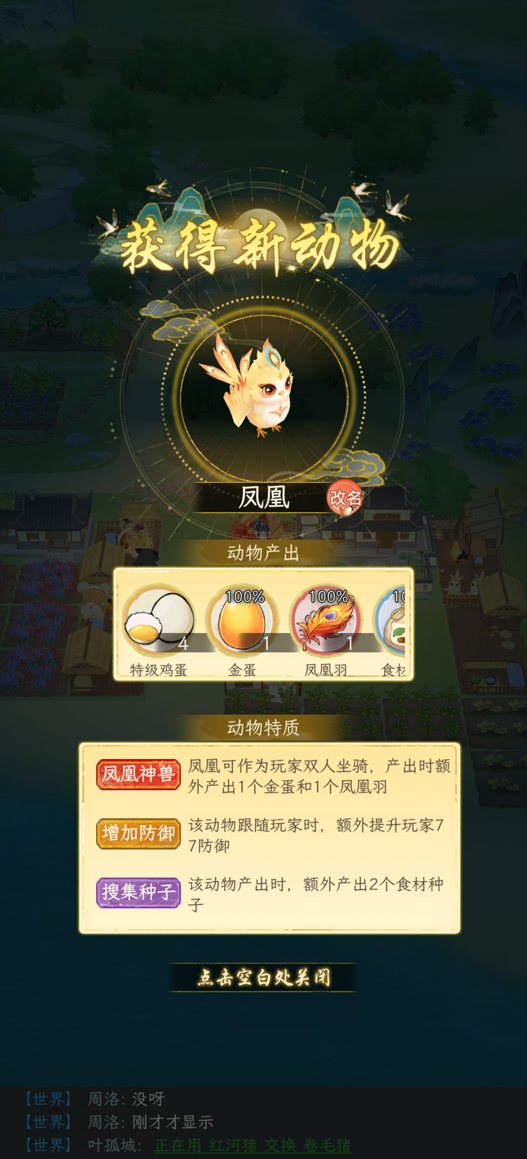 这个凤凰可以养吗 1