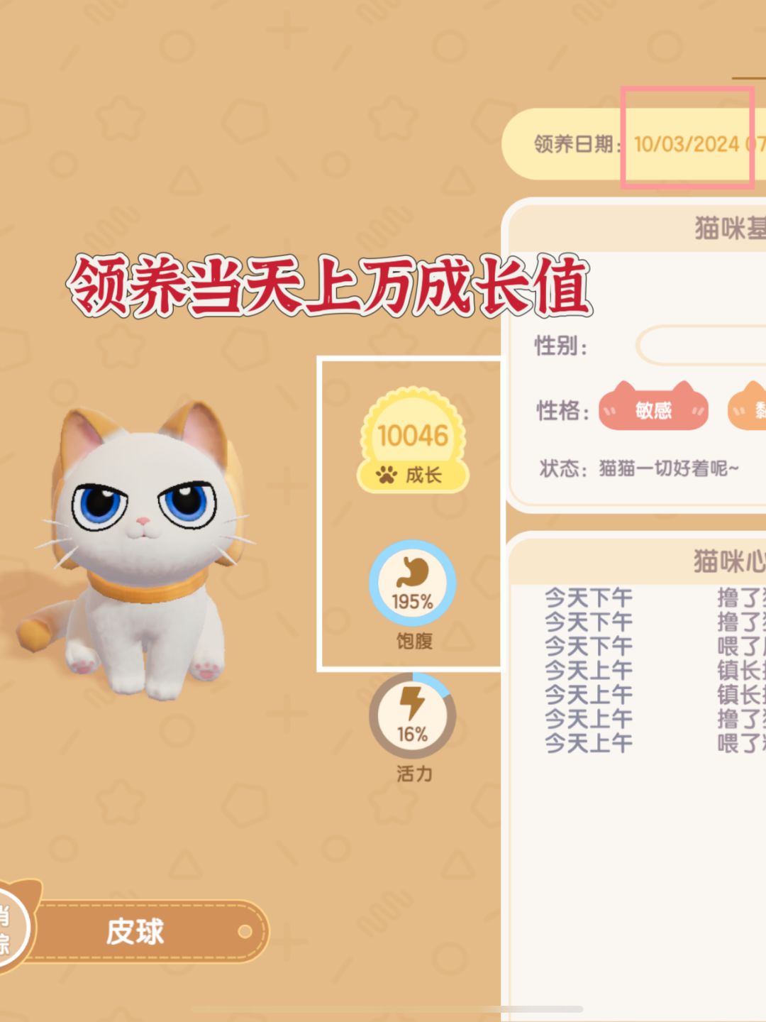 多号叼十几次紫星,这养猫秘籍没人跟你说过 3
